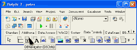    DBNavigator    Data Controls